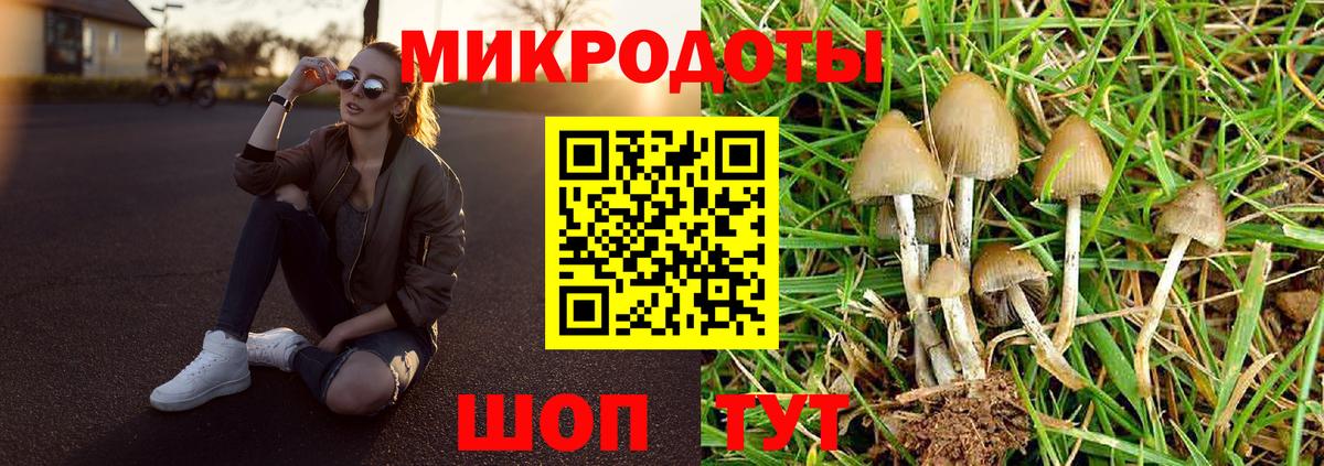 Галлюциногенные грибы мицелий Шелехов